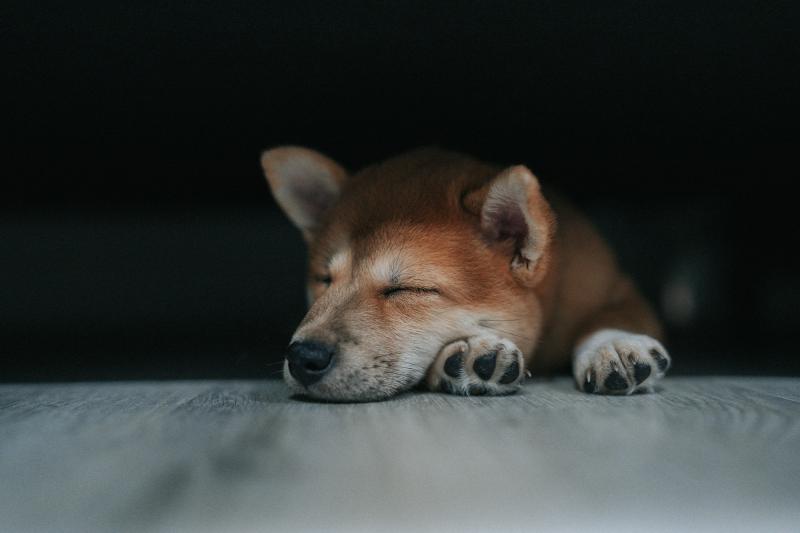 Featured image of post 寝ても寝ても眠いのはなぜ？私が体験した過眠の原因と対処法
