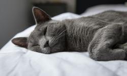 Featured image of post 生理前眠い時ってどうすればいい？私が実際に試した対処法と効果があったもの