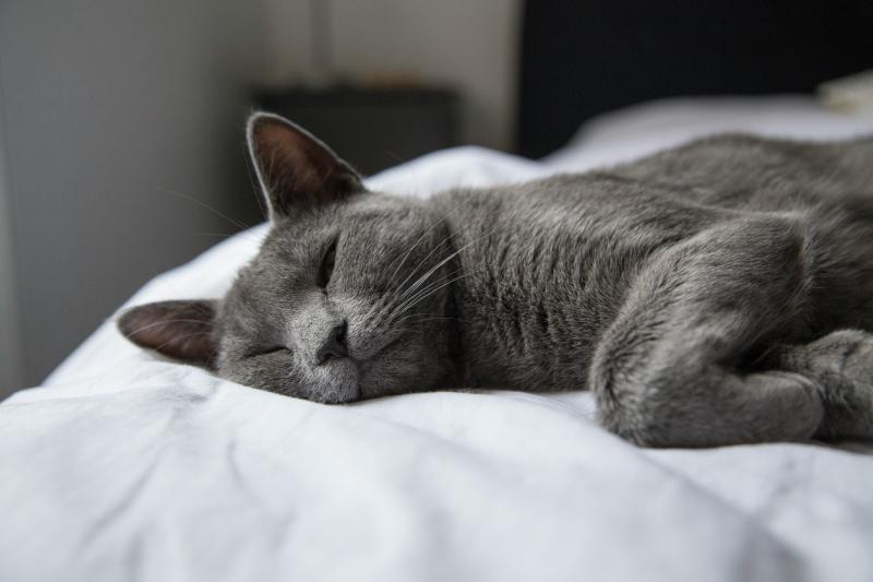 Featured image of post 生理前眠い時ってどうすればいい？私が実際に試した対処法と効果があったもの
