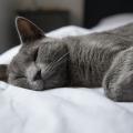 生理前眠い時ってどうすればいい？私が実際に試した対処法と効果があったもの