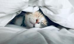 Featured image of post はじめまして、メイです
