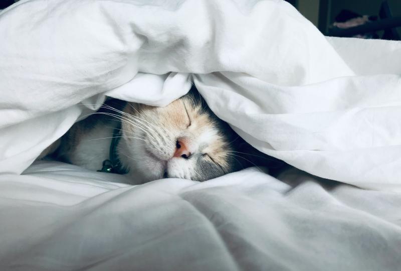 Featured image of post はじめまして、メイです